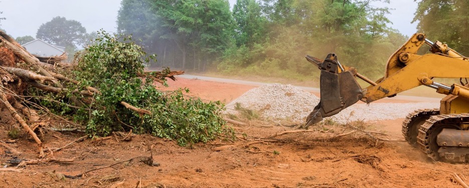 Photo of land being cleared