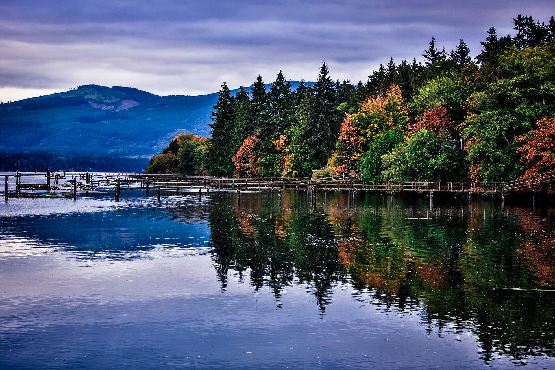 olympic-peninsula-img