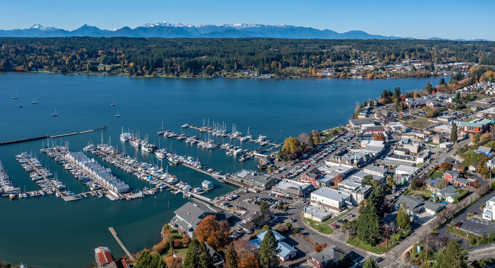 silverdale-img